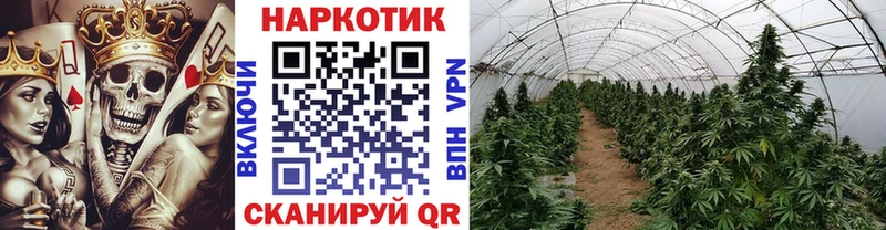  КОКАИН Костерёво
