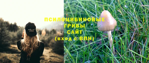 хмурый Балабаново