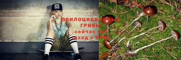 хмурый Балабаново