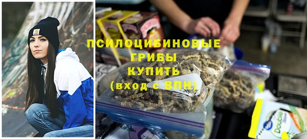 хмурый Балабаново