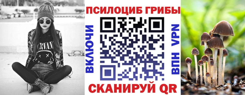 Псилоцибиновые грибы ЛСД Костерёво